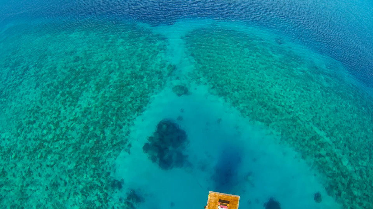 Undervattensrummet ligger 250 meter utanför stranden på Pemba Island, Tanzania. 